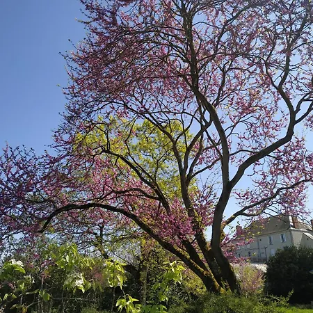 La Roche D'anjou Maison d'hôtes Saint-Mathurin (Maine-et-Loire)