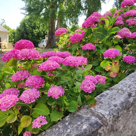 La Roche D'anjou 3*