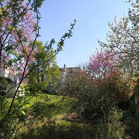 Pensionat La Roche D'anjou Saint-Mathurin (Maine-et-Loire)