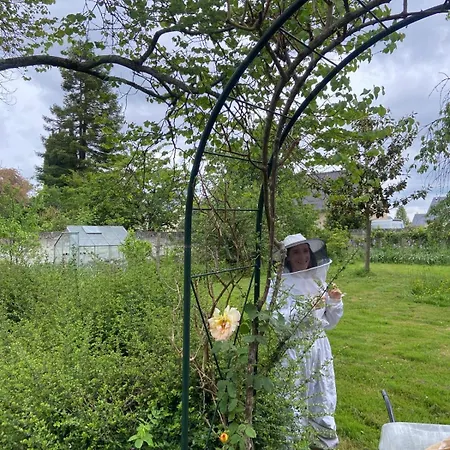 Gasthof La Roche D'anjou Saint-Mathurin (Maine-et-Loire)