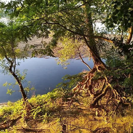 La Roche D'anjou Konukevi Saint-Mathurin (Maine-et-Loire)