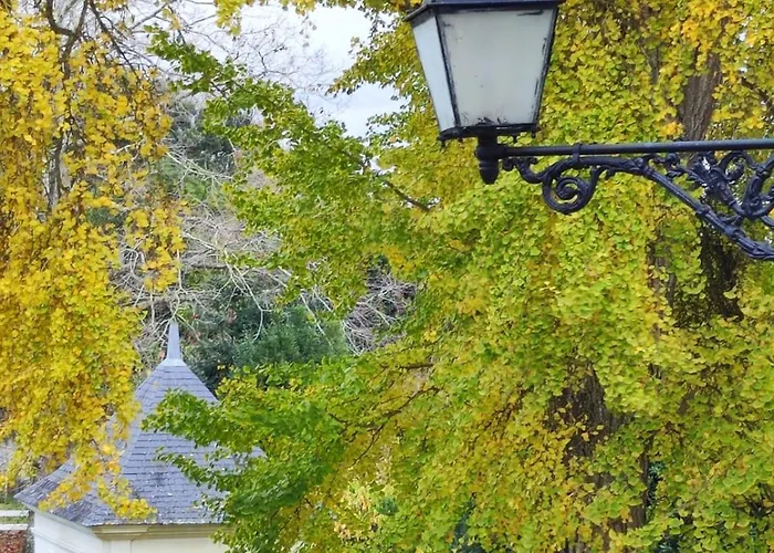 La Roche D'anjou Gasthof