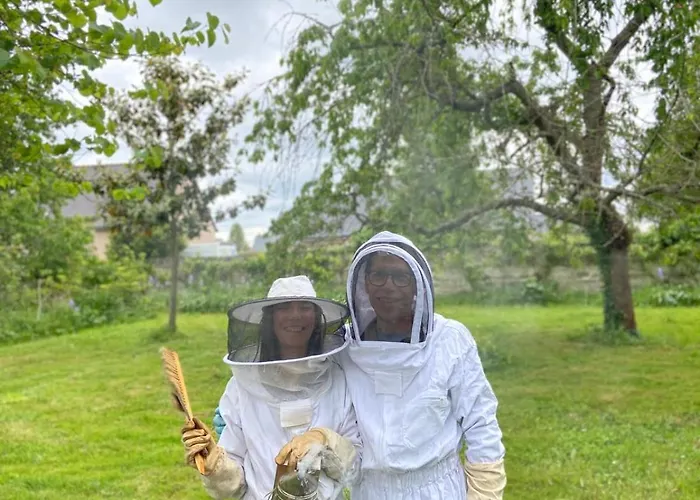 La Roche D'anjou Maison d'hôtes *