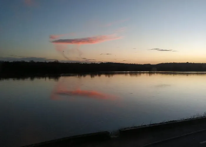 La Roche D'anjou Maison d'hôtes