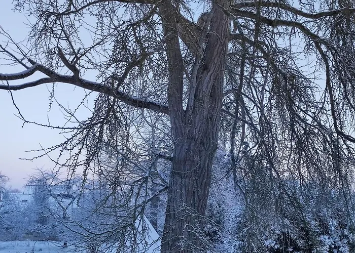 La Roche D'anjou Konukevi *